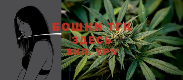 сатива Абдулино