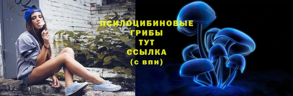 сатива Абдулино