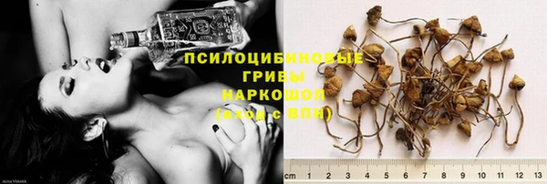 сатива Абдулино