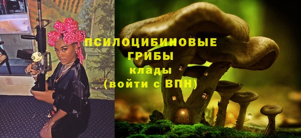 сатива Абдулино