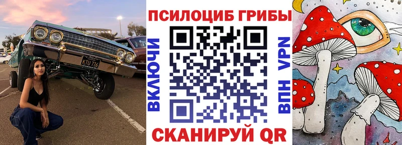 блэк спрут зеркало  Смоленск  Галлюциногенные грибы мицелий 